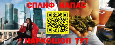 молекула духа Славянск-на-Кубани