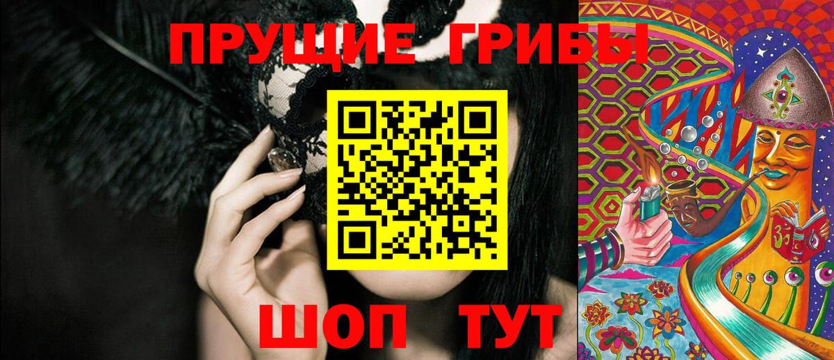 Тосно  Галлюциногенные грибы ЛСД  Вход с VPN 